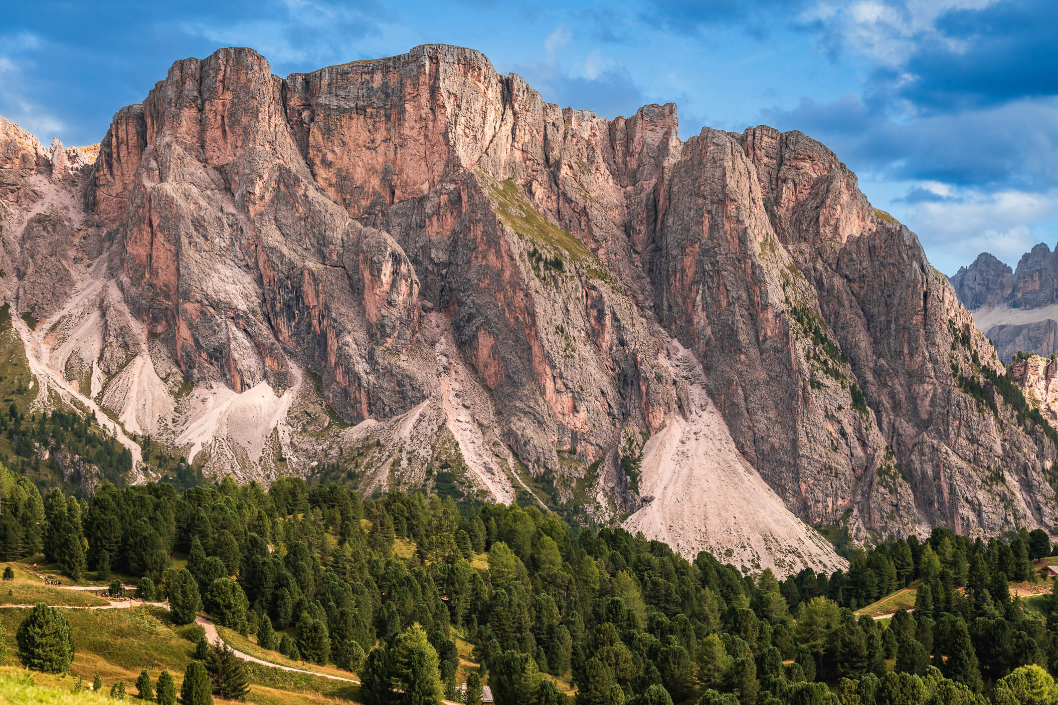 G Malicki7400588zmniejszone